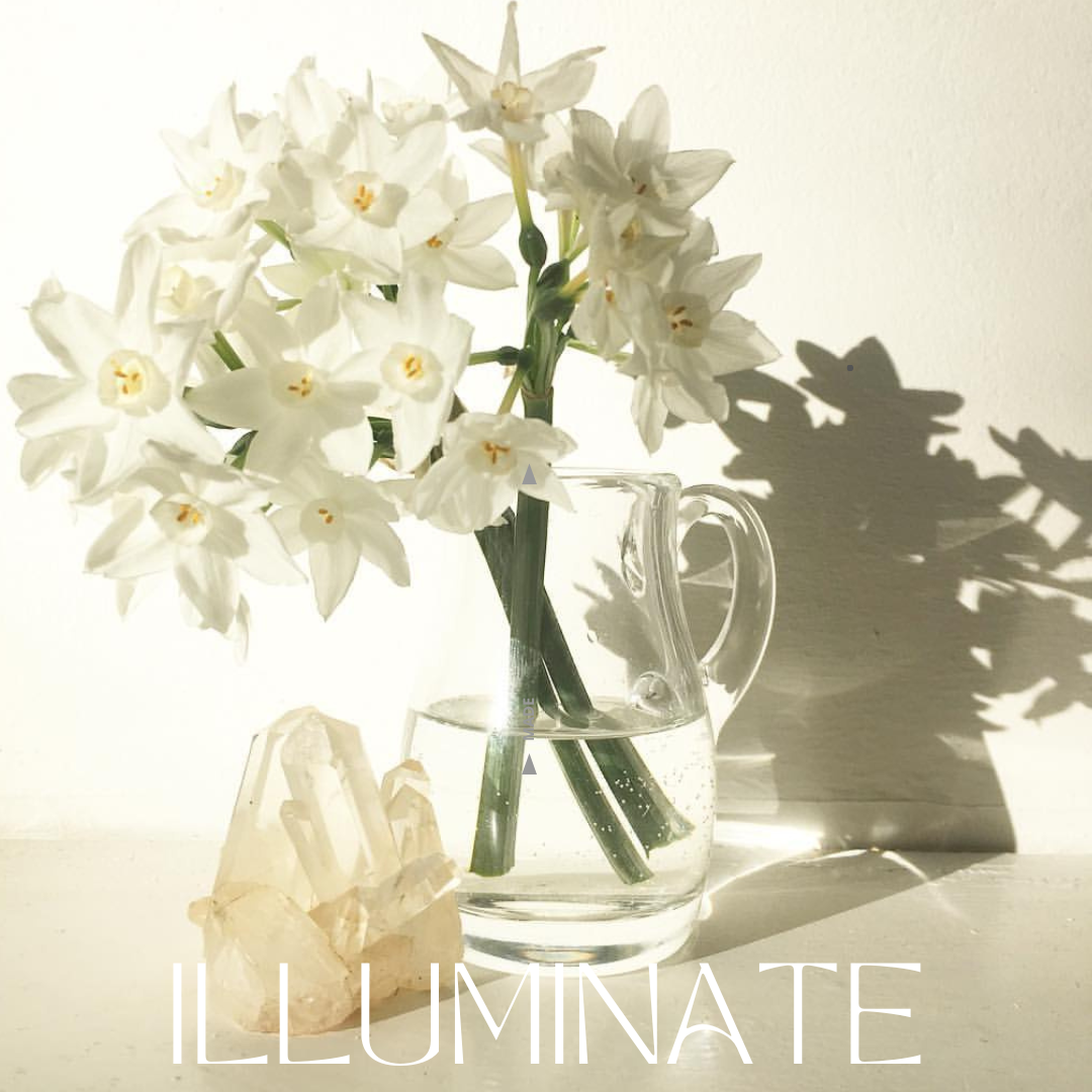 Illuminate - 1:1 Energetics Coaching Call