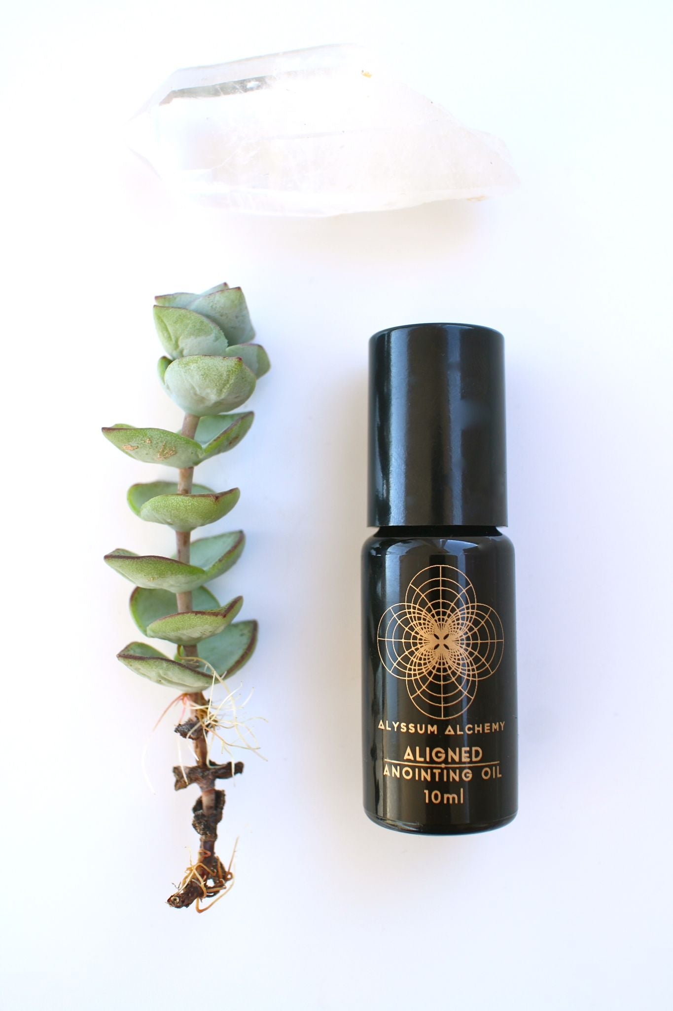 Heaven Scent - Botanical Perfume Gift Pack