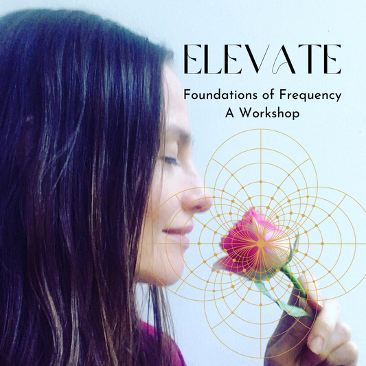 ELEVATE -  Foundations of Frequency Workshop